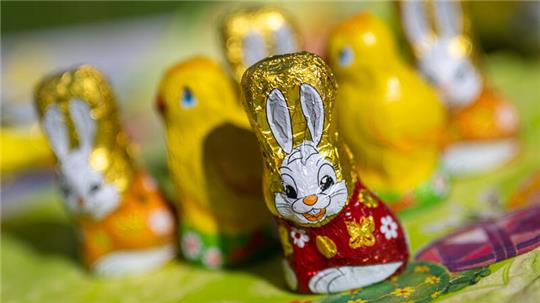 Nicht nur Kinder freuen sich an Ostern über einen Schokoladenhasen. Doch bei der beliebten Süßigkeit droht ein Preisanstieg.